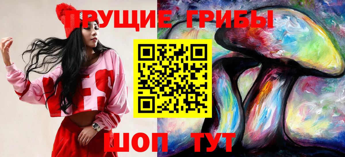 Галлюциногенные грибы MAGIC MUSHROOMS  Вход с VPN  Черняховск 