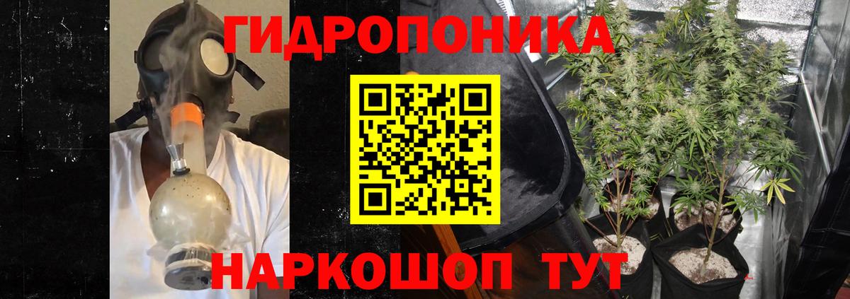 МАРИХУАНА ГИДРОПОН Черняховск